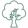 Tree_Green Tree_Green